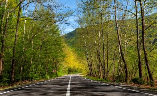 road-though-forest-amasra-to-safranbolu